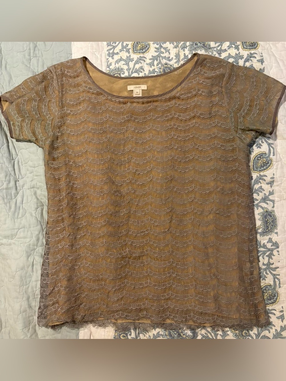 J. Crew Taupe Sheer Lace Short Sleeve Top